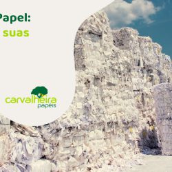 Aparas de Papel: o que são e suas vantagens