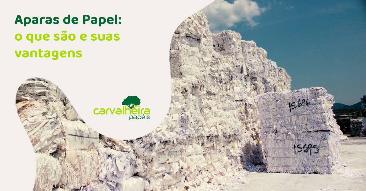 No momento, você está visualizando Aparas de Papel: o que são e suas vantagens