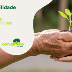 Responsabilidade Ambiental:  O Que é e Quais São Seus Benefícios?